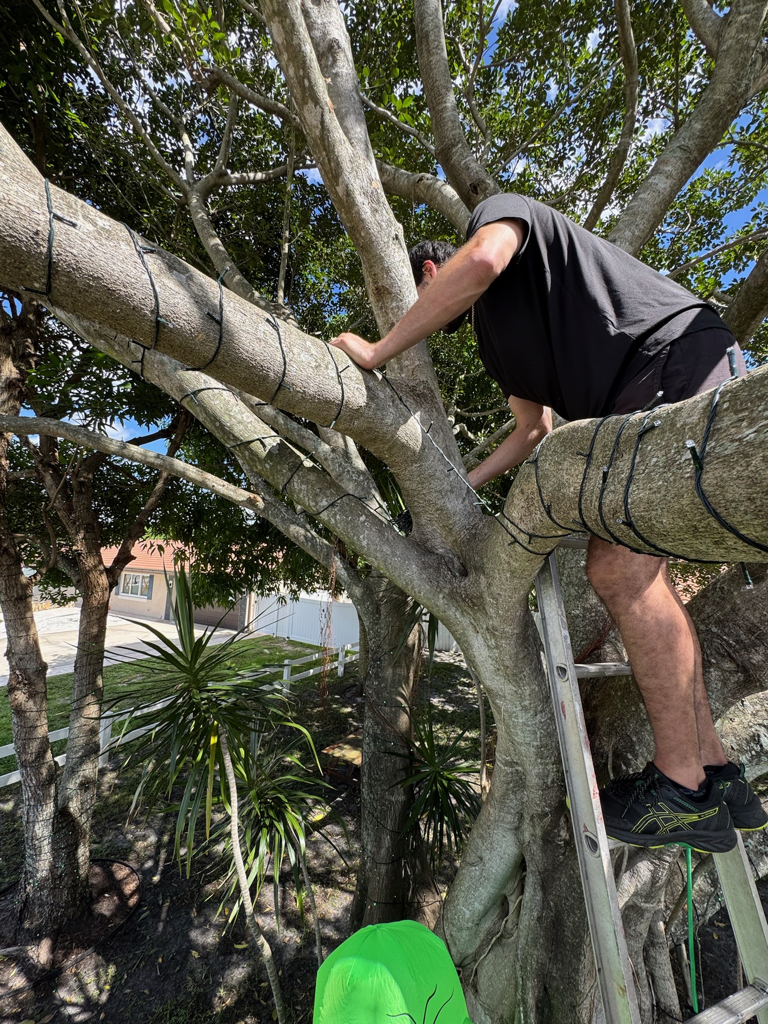 Festive holiday lights against a dark, blurred background, creating a celebratory and premium atmosphere.