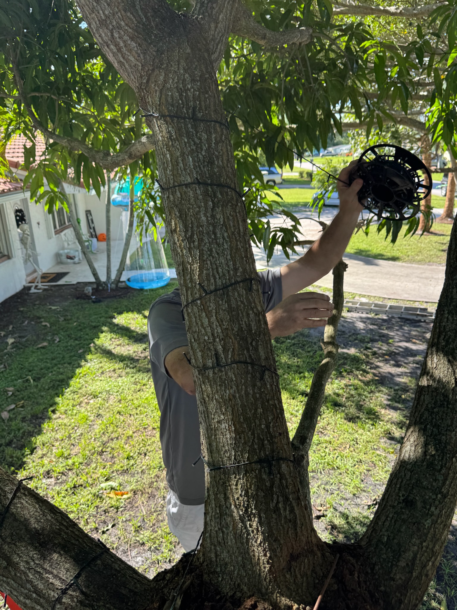A beautiful two-story house decorated with warm white holiday lights along the roofline and windows.