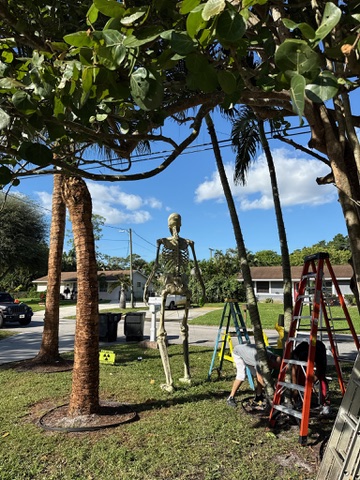 A commercial building front adorned with bright, professional holiday light decorations.