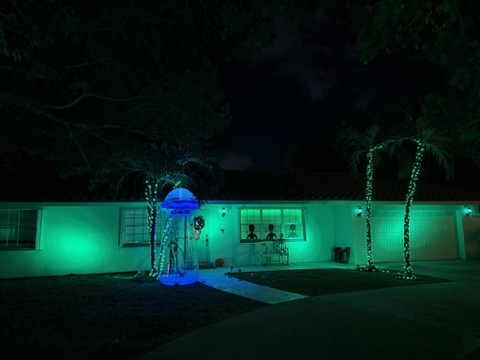 A house with lights on the bushes.